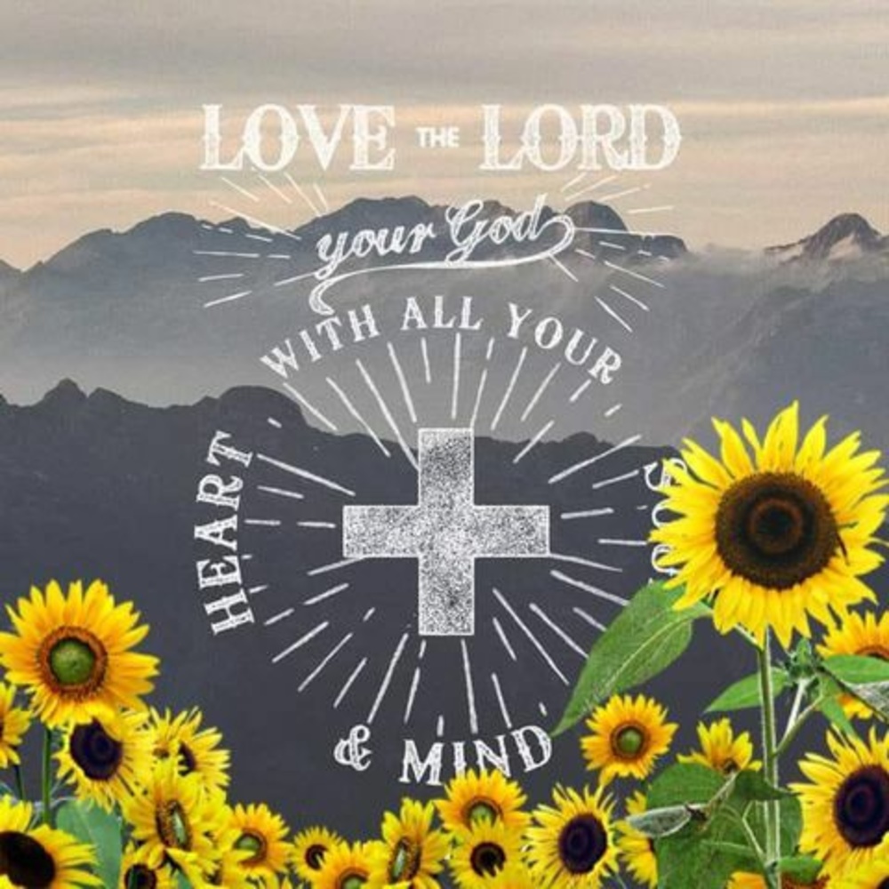 Meet your Posher, Gary